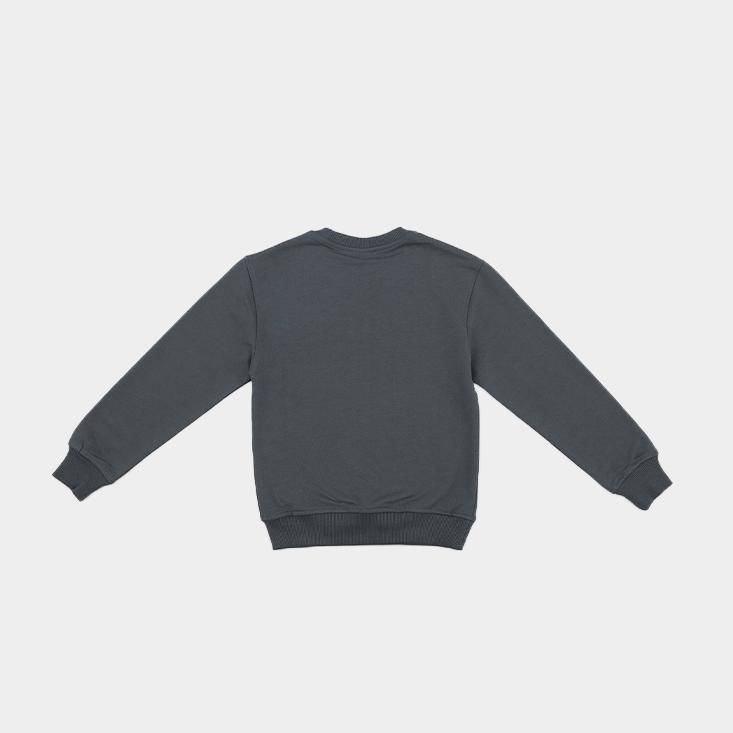 Свитшот Nordman WEAR цвет серый - фото 2