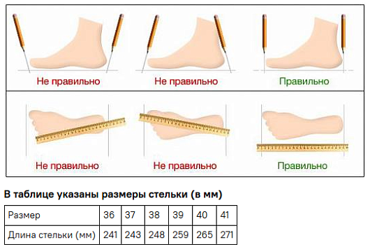 https://www.nordman.ru/upload/resize_cache/sprint.editor/185/530_530_0/185a0b89e2bf431909bf26a2ebb18e46.png