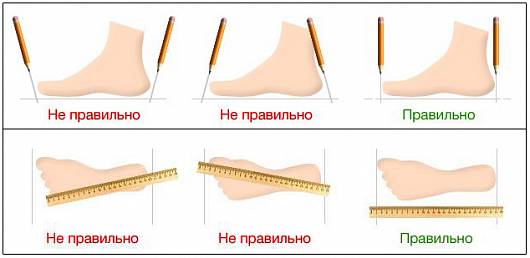 Нордман люми или некст что лучше. Смотреть фото Нордман люми или некст что лучше. Смотреть картинку Нордман люми или некст что лучше. Картинка про Нордман люми или некст что лучше. Фото Нордман люми или некст что лучше